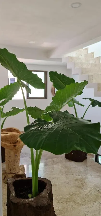Recamara 3 Cancun Pansiyon