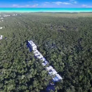 https://supreme-jungle-holiday-home-in-tulum-private-pool.tulum-hotels.net